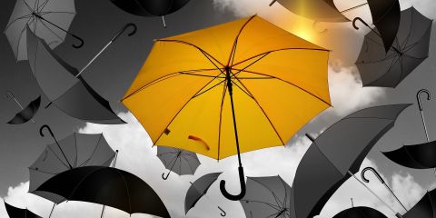 Beitragsbild für Besonderheiten des Studiengangs