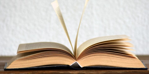 Modulhandbuch und Modulbeauftragte